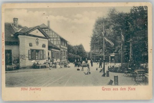Auerberg harz - harz,